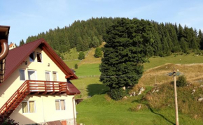 Casa Padina cu Pietre, Braşov